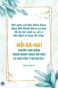 Kinh Thánh Trực Tuyến / #truongkinhthanhtructuyen.org
